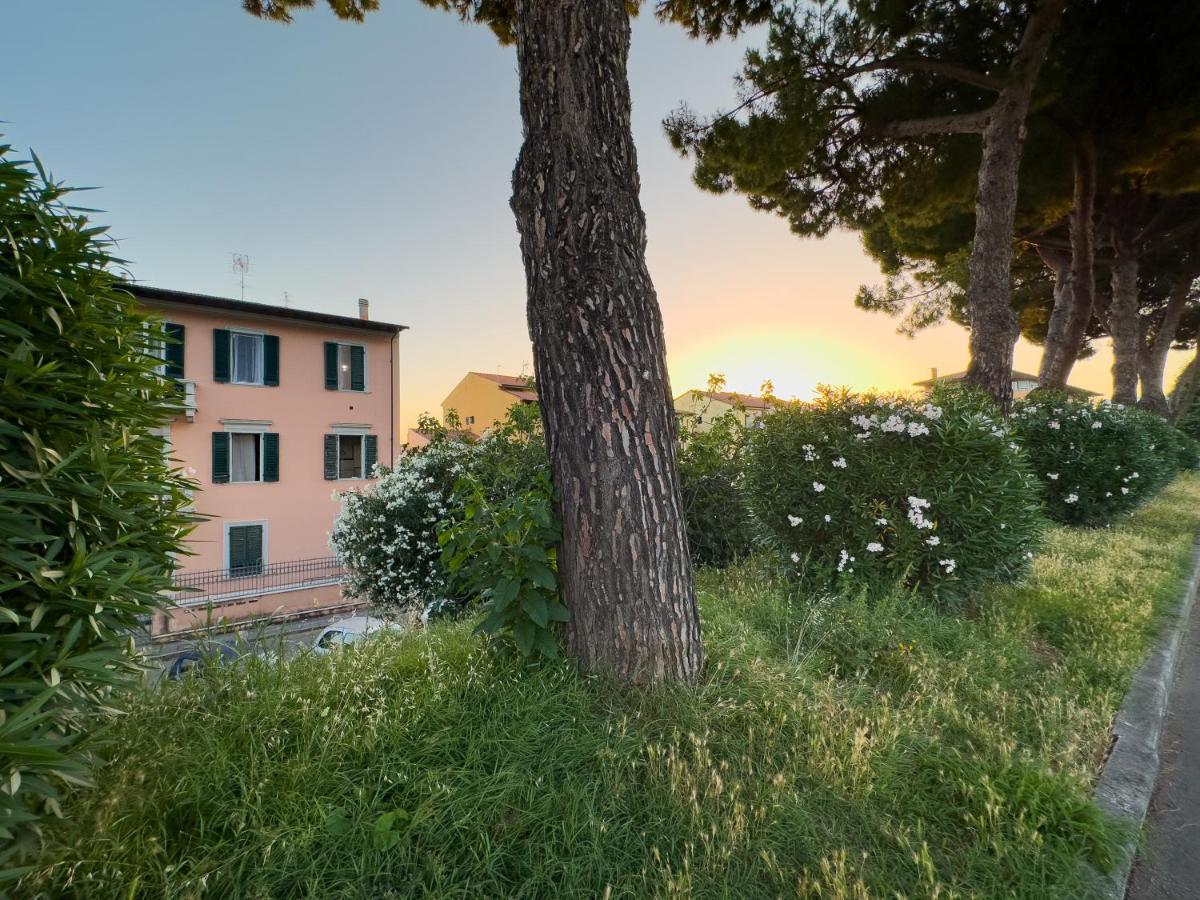 La Casa Di Eli Appartamenti Pise Extérieur photo