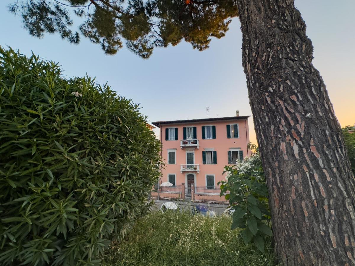 La Casa Di Eli Appartamenti Pise Extérieur photo